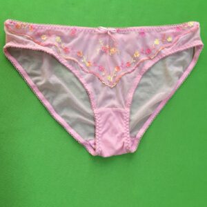 Beautiful Thread Embroidery Transparent Lace Bridal Panty 4 1