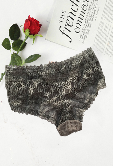 Variance Embraceable Allover Lace Cheeky Hipster 2 1