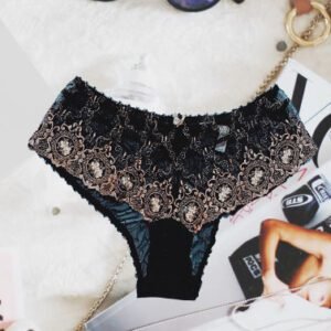 Vassarette Black transparent Lace Hipster Panty