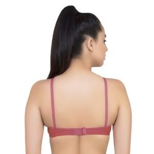 lightly padded classic comfort bra pack of 2mix color